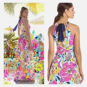Lilly Pulitzer Amanda Maxi Dress in Besame Mucho Floral L